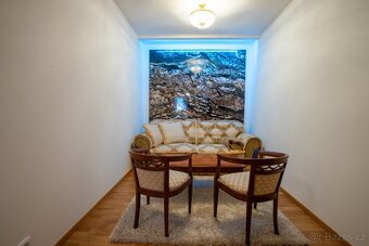 Prodej luxusního bytu 137m2 Divadelní nám. Karlovy Vary - 13