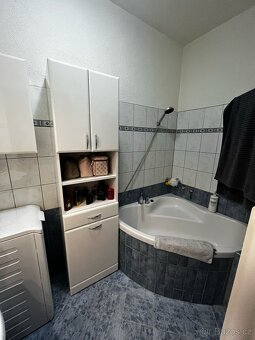 Pronájem bytu 2+1, 53 m² v Dolní Poustevně v ulici u Ltadla - 13