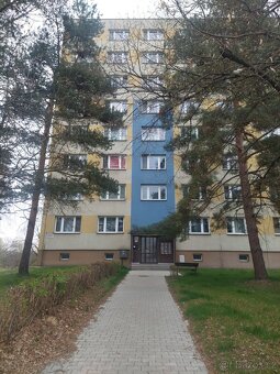 Pronájem bytu 3+1 Karviná 74m2 - 13