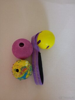 potřeby pro psy,hračky,balonky a obojek pro kočku - 13