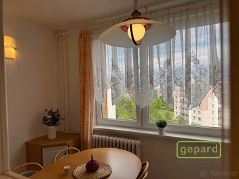 Pronájem bytu 3+1 76,2 m² - 13