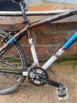 Horské kolo Amulet - 13