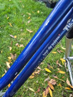 Dámské městské kolo - Tour de Swisse Ecoliner 700 - 13