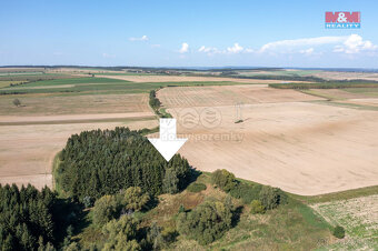 Prodej lesa, 9132 m², Panoší Újezd - 13