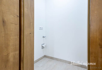 Pronájem bytu 4+kk, Hrašeho, Čimice, 117 m2 - 13