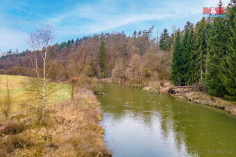 Prodej, les, 3632 m2, Zruč-Senec - 13