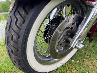 Harley-Davidson FLSTNI Softail Deluxe - 13
