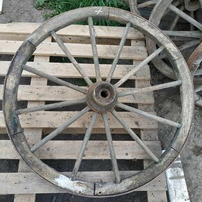 Loukoťová kola - 13