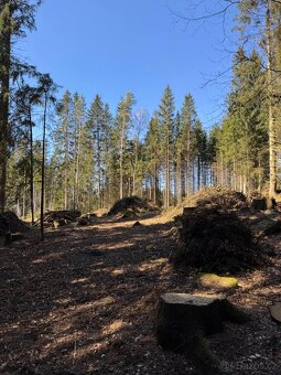 Prodám pozemky v k.ú. Horní Bolíkov Studená, okres Jindřichů - 13