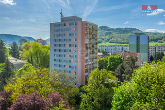 Prodej bytu 3+1, 73 m², Děčín, ul. Příčná - 13