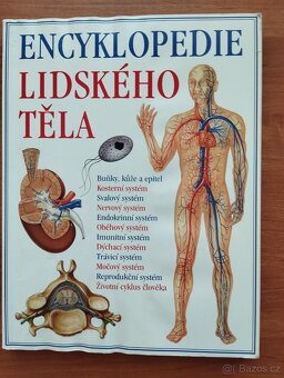 Beletrie. Encyklopedie - 13