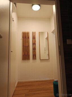 Podnájem bytu 1+ kk - 13