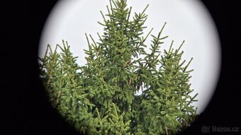 Dalekohled BPC 10X50 BERKUT - 13