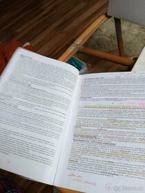 Skripta- Přehled české a světové literatury 20.st.+Čítanka - 13