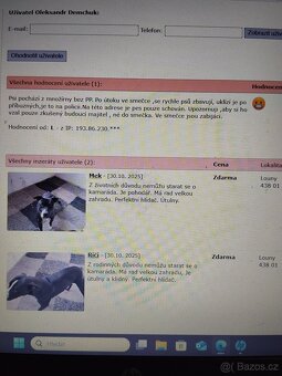 Pozor Pitbulové, kteří jsou útoční - 13