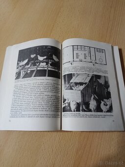 Včelařství,Pes a jeho výcvik, Domácí chov zvířat - 13