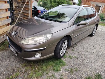 Peugeot 407 SW 2.0HDI - 13
