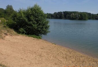 Pronájem zahrady 40 km od Prahy, Poděbrady, jezero, les - 13