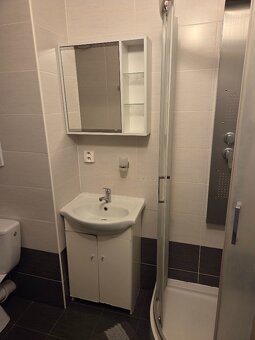 Pronájem bytu 2+1 • kompletně zařízeny 52 m² - 13