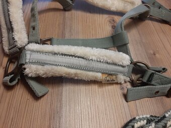 Ohlavka Felix Bühler X Full - 13