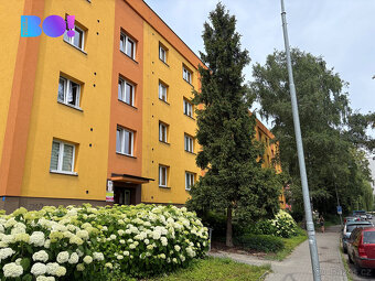 Prodej bytu 2+1, ul. Dačického, Karviná - Ráj - 13