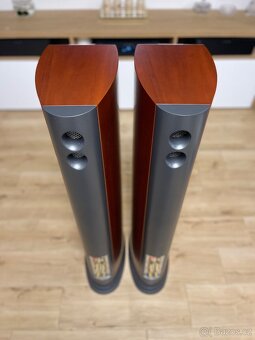 Audiovector SR3 Avantgarde - 13