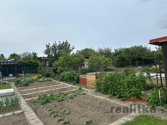 REZERVACEPronájem zahrádky 200m2, Opava, Kylešovice - 13