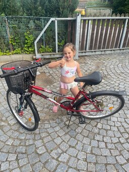 Dámské Kolo velikosti 26 - 13