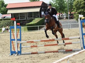 Klisna do nižšího sportu, hobby - 13