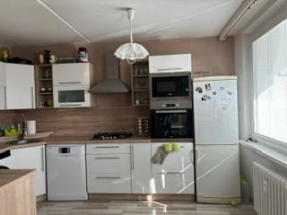 Byt 3+1, balkon, komora, sklep v OV, klidná lokalita - 13