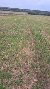 DEMO secí stroj 6 m + přihnojování + Section Control 1000 ha - 13