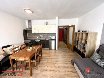 Prodej, byty/1+kk, 46 m2, 38278 Lipno nad Vltavou, Český Kru - 13