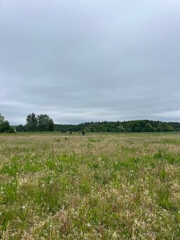Pastevní ustájení v klidné rodinné stáji od JARA - 13