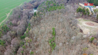 Prodej lesa, 7378 m², Bojanovice - 13