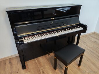 Steinway and Sons dovoz celá ČR - 13