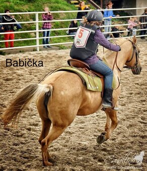 AQH hřebeček JoJo - 13