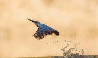 Canon ef 200mm f/2L is usm - 13