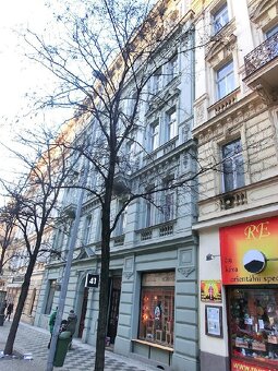 Pronájem mezonetového bytu 3+kk, 159 m2, Praha 2  Vinohrady - 13