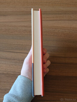 Nevím nic, ale řeknu všechno - Pierre Richard - 13