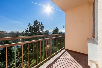 Prodej bytu 3+1, 80 m² - Planá - 13