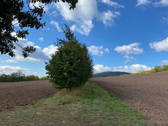 Lesní pozemek a pozemek ostatní plocha Horní Lánov - 13