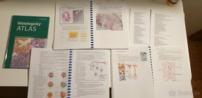 Histologický atlas, Vyprac. otázky z hist, Zákl. fyz. - 13