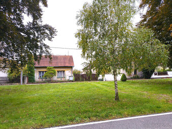 Rasošky-dům s projektem novostavby a pozemkem 3953m2 - 13