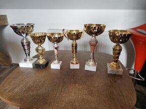 sportovní poháry - 13