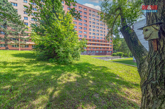 Prodej bytu 3+1, 74 m², Havířov, ul. Kubelíkova - 13