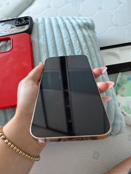 Iphone 12 pro max - 13
