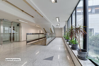 Obchodní prostory 74,59 m2, ulice Sokolovská, Praha 9 - Libe - 13