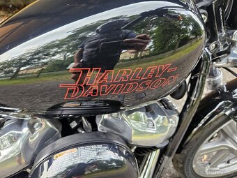 HARLEY DAVIDSON FXST SOFTAIL STANDARD 2023 najeto1082km107cu - 13