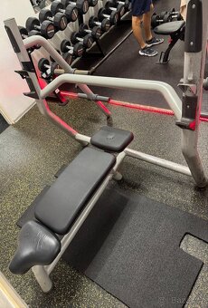 Výprodej z fitness centra profesionální stroje a zařízení - 13