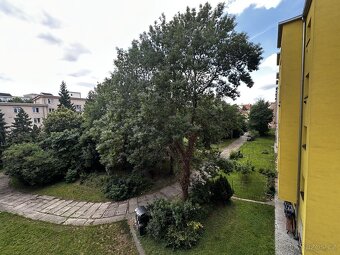 Prodej byty 1+1, 48 m2 - Praha - Strašnice, ev.č. 00702 - 13